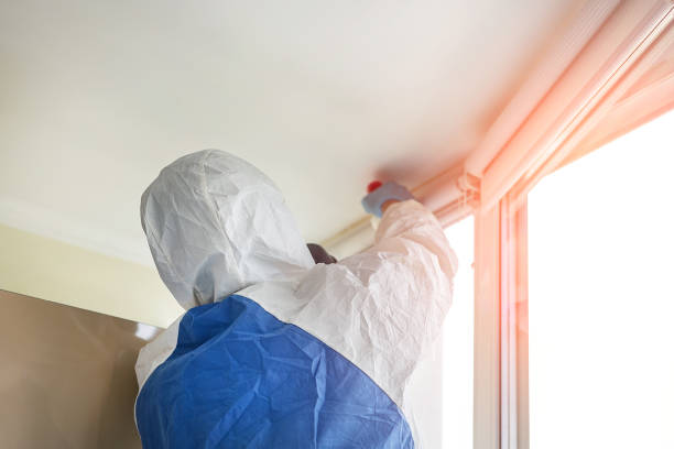 Best Emergency Mold Remediation in Ohioville, PA