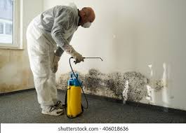 Best Water Damage & Mold Remediation in Ohioville, PA